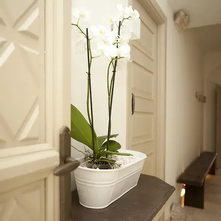 Balcon De Hotel Cordoue