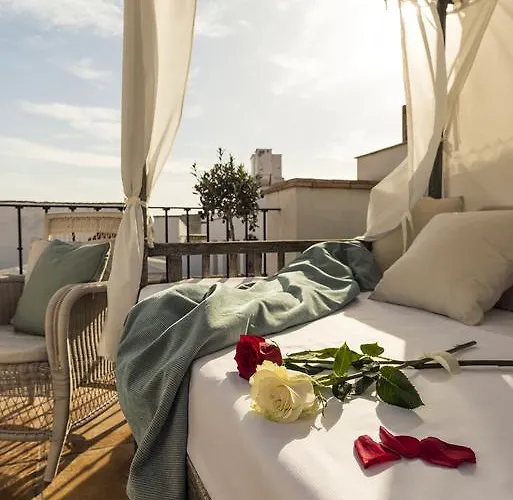 Отель Balcon De