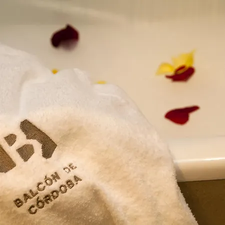 Hotel Balcon De Kordoba